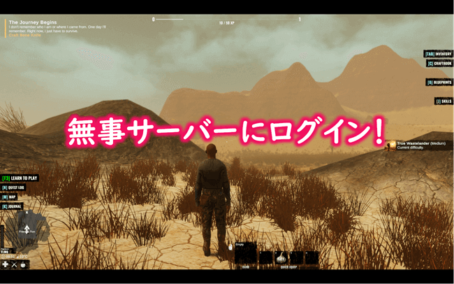 Plains of Pain用サーバーにログイン完了