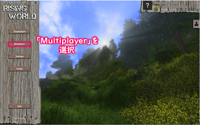 トップ画面にてMultiplayerを選択